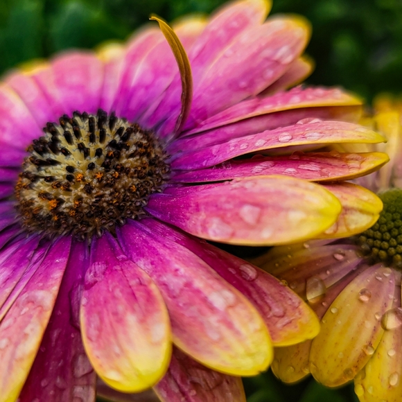 Meet your Posher, Mary - Picture 10 of 16